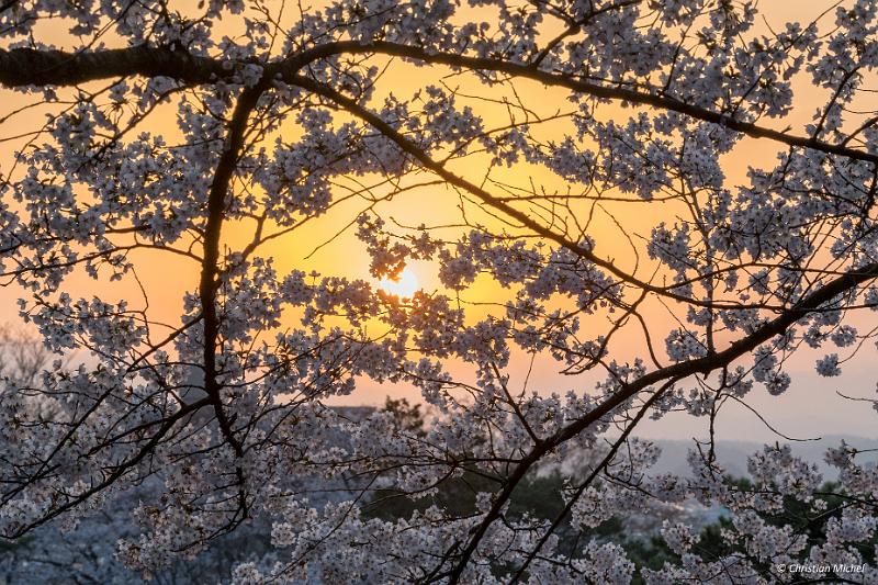 foto_20190423_0510_02-HDR_LR.jpg - cmichel@ballonspass.de