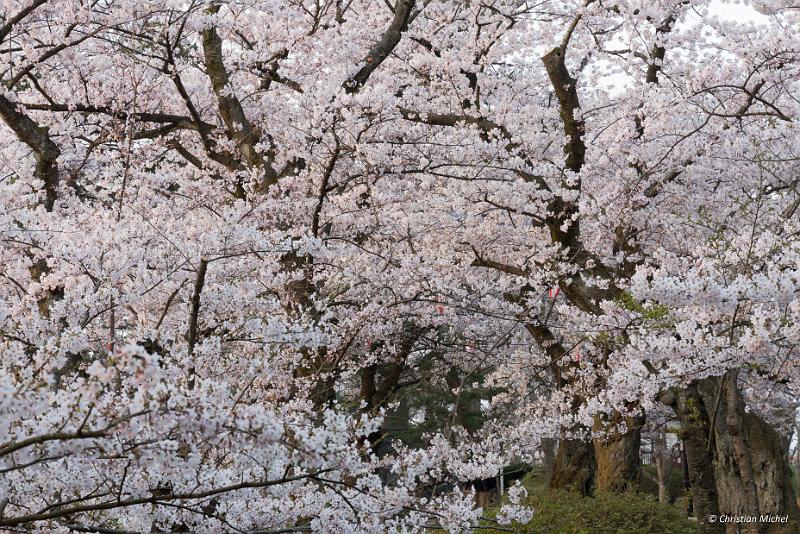 foto_20190423_0520_02_LR.jpg - cmichel@ballonspass.de