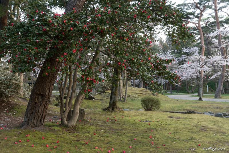 foto_20190423_0534_01_LR.jpg - cmichel@ballonspass.de