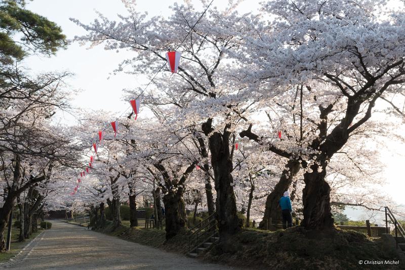 foto_20190423_0554_02_LR.jpg - cmichel@ballonspass.de