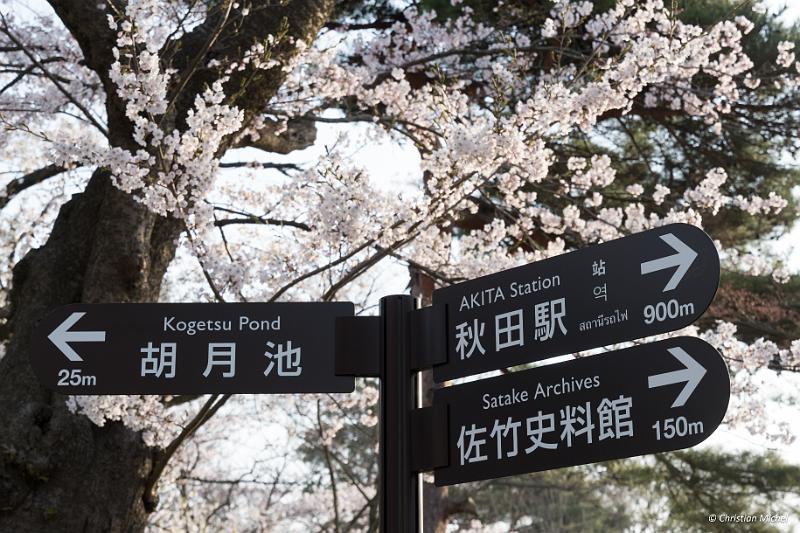 foto_20190423_0608_02_LR.jpg - cmichel@ballonspass.de