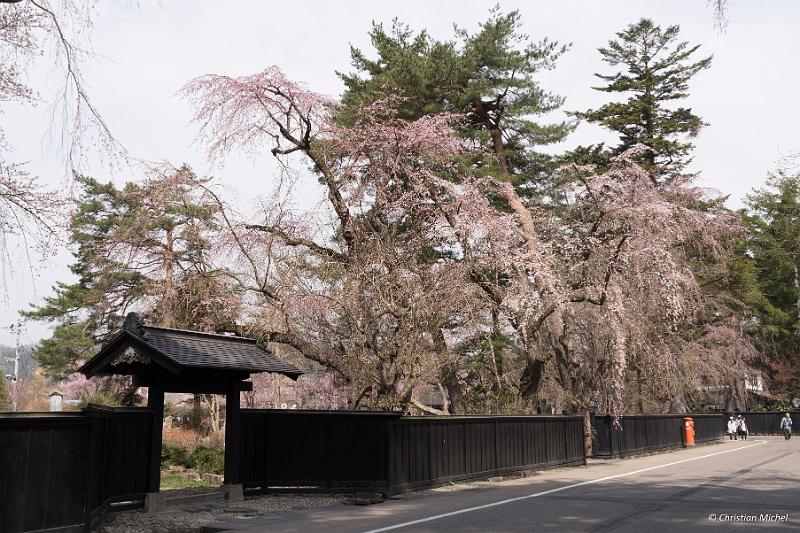 foto_20190423_0926_03_LR.jpg - cmichel@ballonspass.de