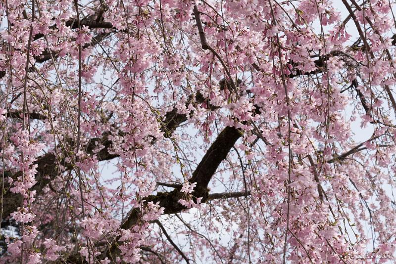 foto_20190423_0934_02_LR.jpg - cmichel@ballonspass.de