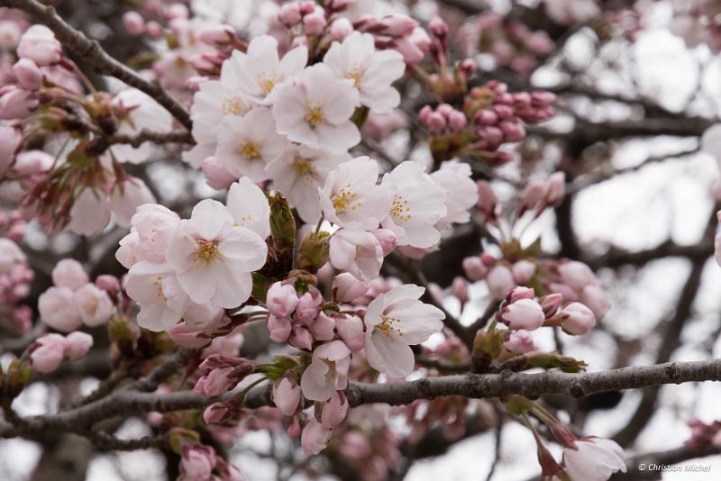 foto_20190423_0944_02_LR.jpg - cmichel@ballonspass.de