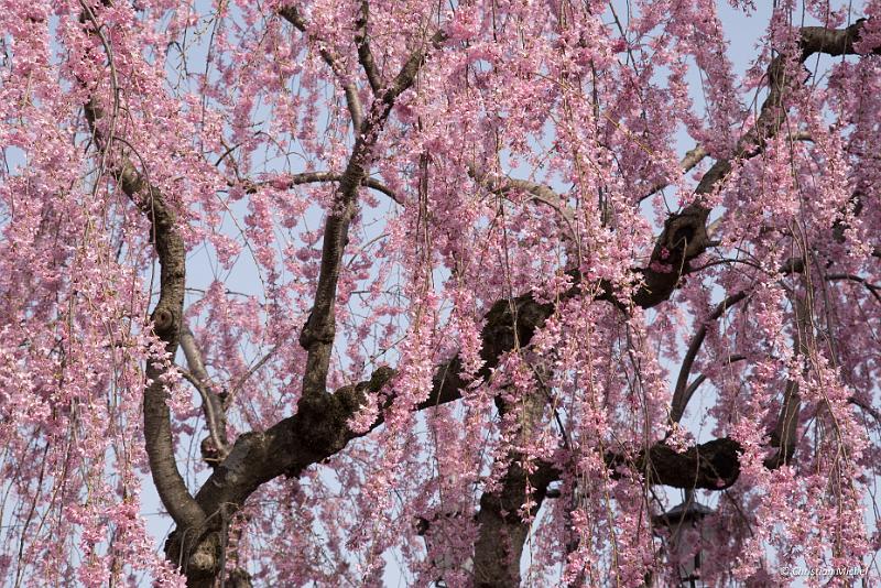 foto_20190423_1520_01_LR.jpg - cmichel@ballonspass.de