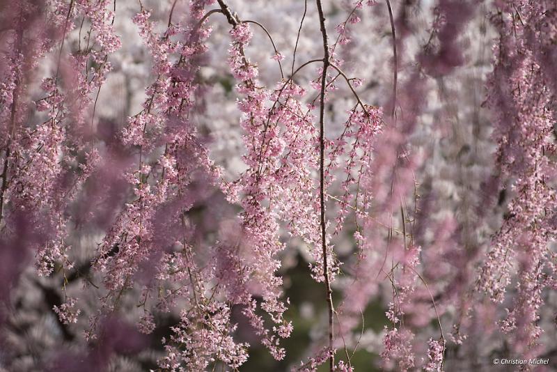 foto_20190423_1524_03_LR.jpg - cmichel@ballonspass.de