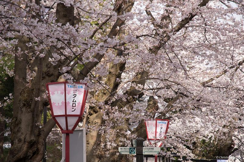 foto_20190423_1558_01_LR.jpg - cmichel@ballonspass.de