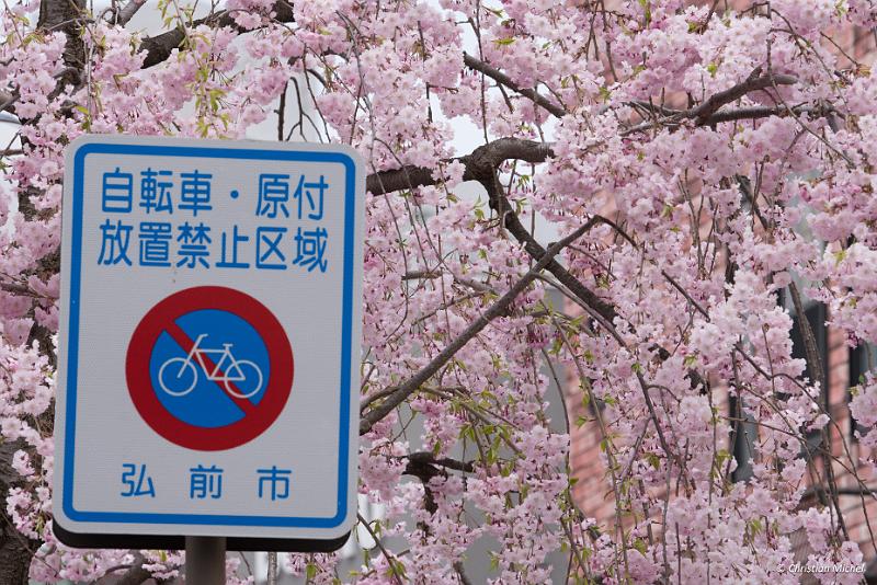 foto_20190424_1108_01_LR.jpg - cmichel@ballonspass.de