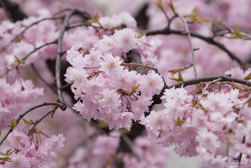 foto_20190424_1115_01_LR.jpg - cmichel@ballonspass.de