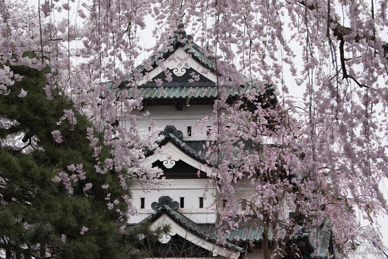 foto_20190424_1257_01_LR.jpg - cmichel@ballonspass.de