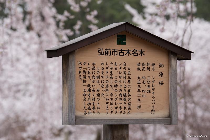 foto_20190424_1301_01_LR.jpg - cmichel@ballonspass.de