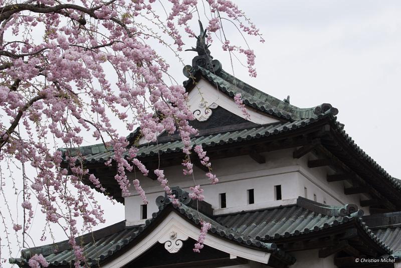 foto_20190424_1304_01_LR.jpg - cmichel@ballonspass.de