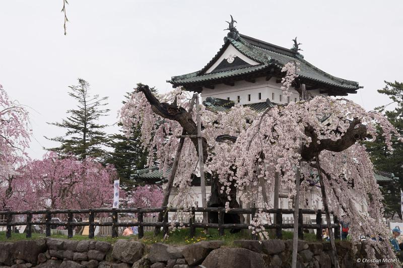 foto_20190424_1310_01_LR.jpg - cmichel@ballonspass.de