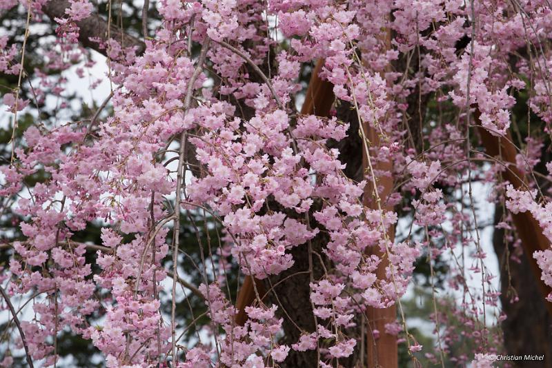 foto_20190424_1314_02_LR.jpg - cmichel@ballonspass.de