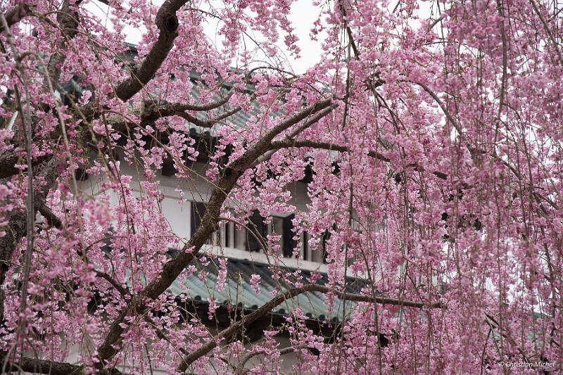 foto_20190424_1343_01_LR.jpg - cmichel@ballonspass.de