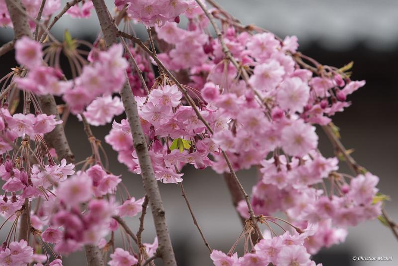 foto_20190424_1359_01_LR.jpg - cmichel@ballonspass.de