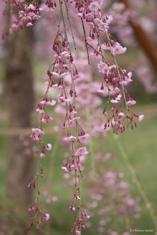 foto_20190424_1403_01_LR.jpg - cmichel@ballonspass.de