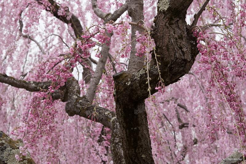 foto_20190424_1407_03_LR.jpg - cmichel@ballonspass.de