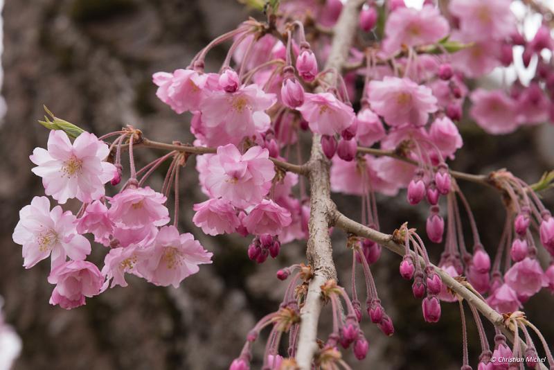 foto_20190424_1408_02_LR.jpg - cmichel@ballonspass.de