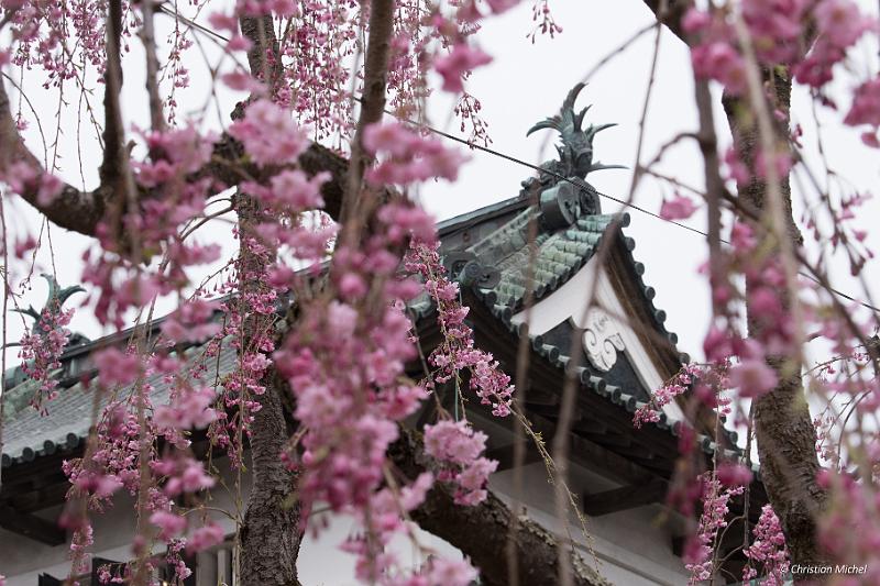 foto_20190424_1409_02_LR.jpg - cmichel@ballonspass.de