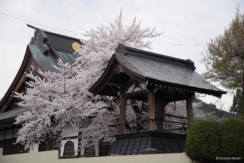 foto_20190424_1453_01_LR.jpg - cmichel@ballonspass.de