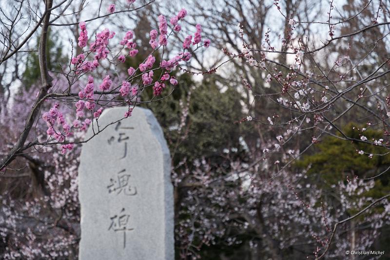 foto_20190425_1735_02_LR.jpg - cmichel@ballonspass.de