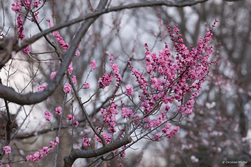 foto_20190425_1739_02_LR.jpg - cmichel@ballonspass.de