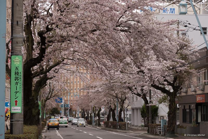 foto_20190427_1555_01_LR.jpg - cmichel@ballonspass.de