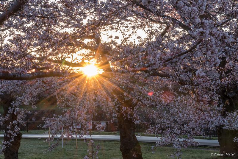 foto_20190428_0454_01-HDR_LR.jpg - cmichel@ballonspass.de