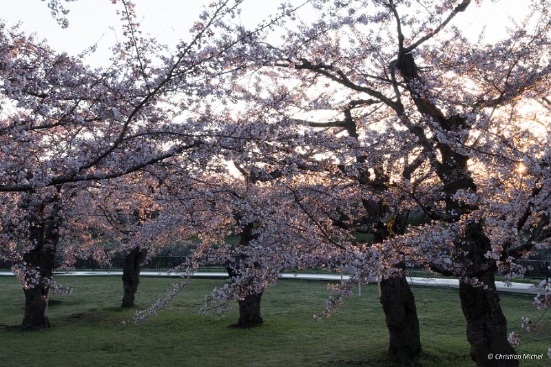 foto_20190428_0457_05_LR.jpg - cmichel@ballonspass.de