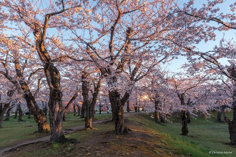 foto_20190428_0458_01-HDR_LR.jpg - cmichel@ballonspass.de