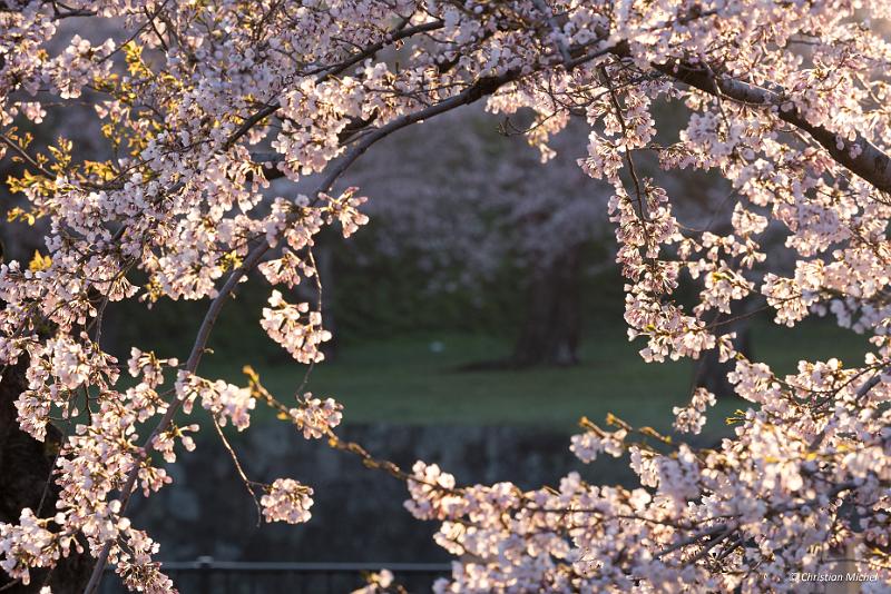 foto_20190428_0505_01_LR.jpg - cmichel@ballonspass.de