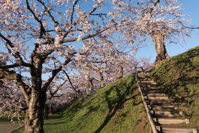 foto_20190428_0531_02_LR.jpg - cmichel@ballonspass.de