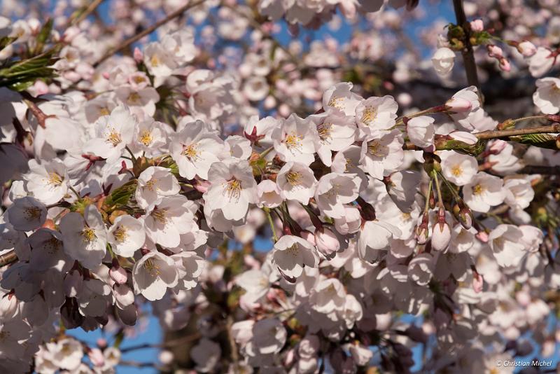 foto_20190428_0606_01_LR.jpg - cmichel@ballonspass.de