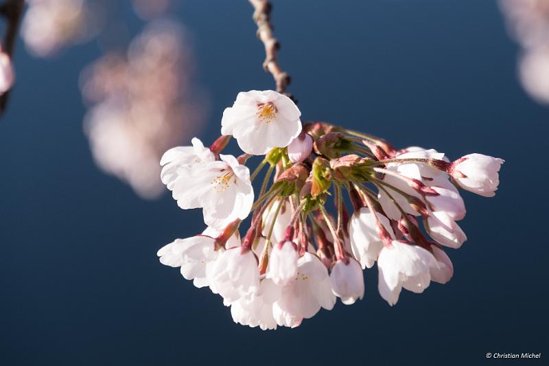 foto_20190428_0633_01_LR.jpg - cmichel@ballonspass.de