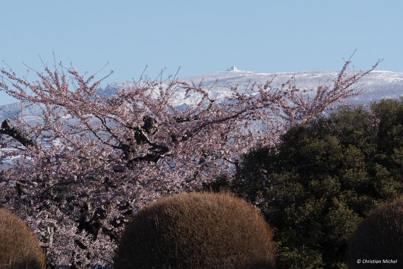 foto_20190428_0649_03_LR.jpg - cmichel@ballonspass.de