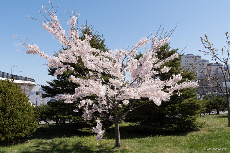 foto_20190428_0945_01_LR.jpg - cmichel@ballonspass.de