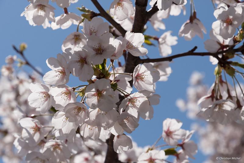 foto_20190428_0949_02_LR.jpg - cmichel@ballonspass.de