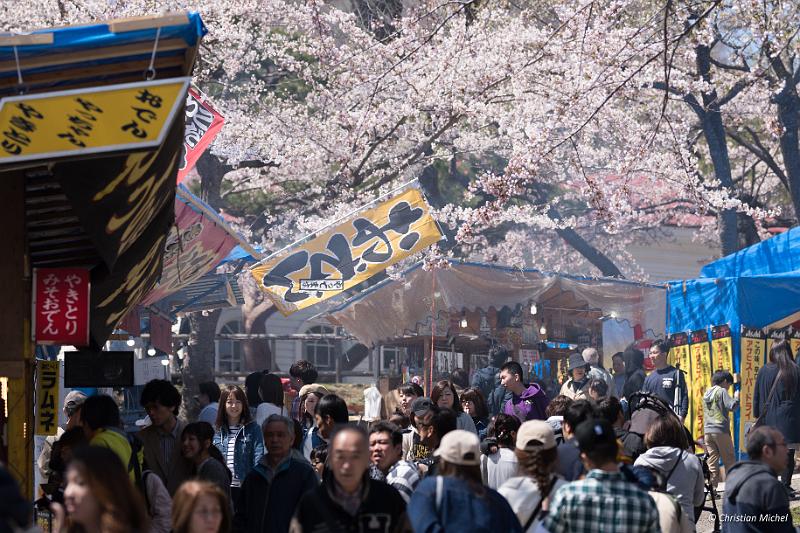 foto_20190428_1222_01_LR.jpg - cmichel@ballonspass.de