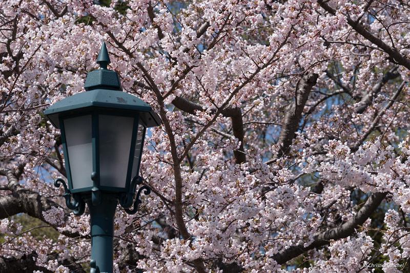 foto_20190428_1256_01_LR.jpg - cmichel@ballonspass.de