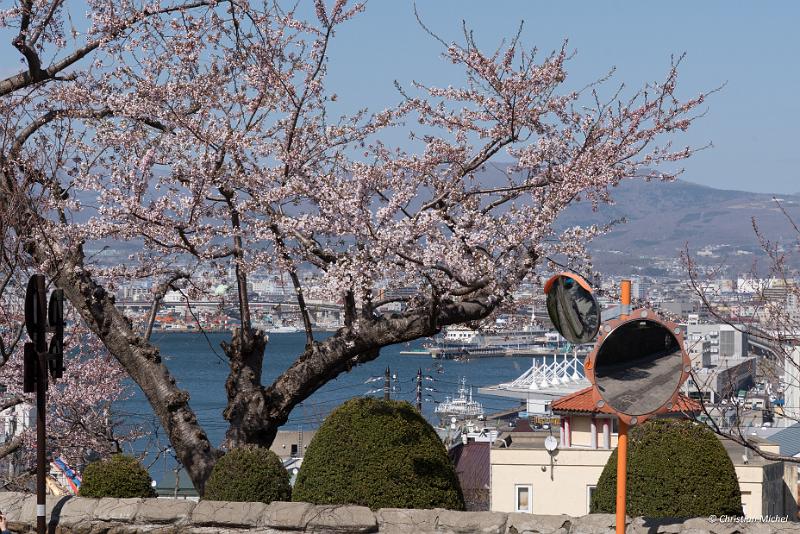 foto_20190428_1411_03_LR.jpg - cmichel@ballonspass.de