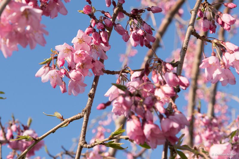 foto_20190428_1648_01_LR.jpg - cmichel@ballonspass.de