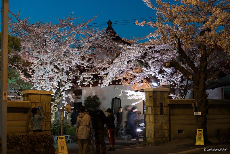 foto_20190428_1908_02_LR.jpg - cmichel@ballonspass.de